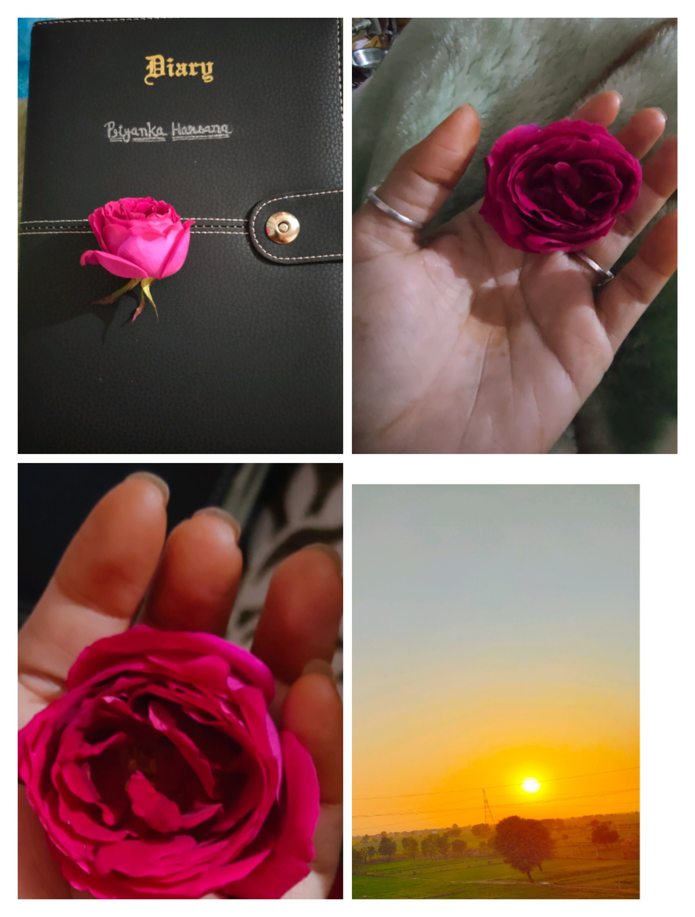 Beautiful wallpaper by Priyanka harsana